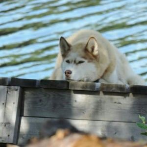 Meet your Posher, Deborah